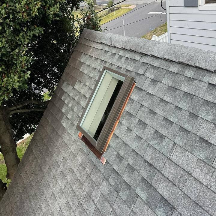 Skylight Repair Expert in Peconic